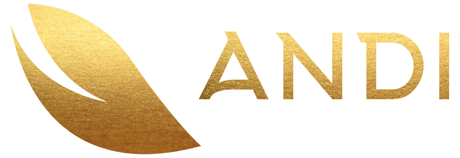 ANDI ANDI